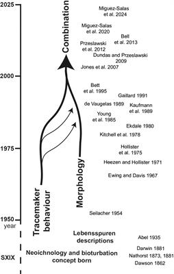 Marine lebensspuren: improving the classification of seafloor traces from underwater imagery and observations